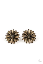 Load image into Gallery viewer, Daisy Dilemma - Brass Earrings
